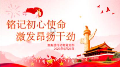 迷你忍者